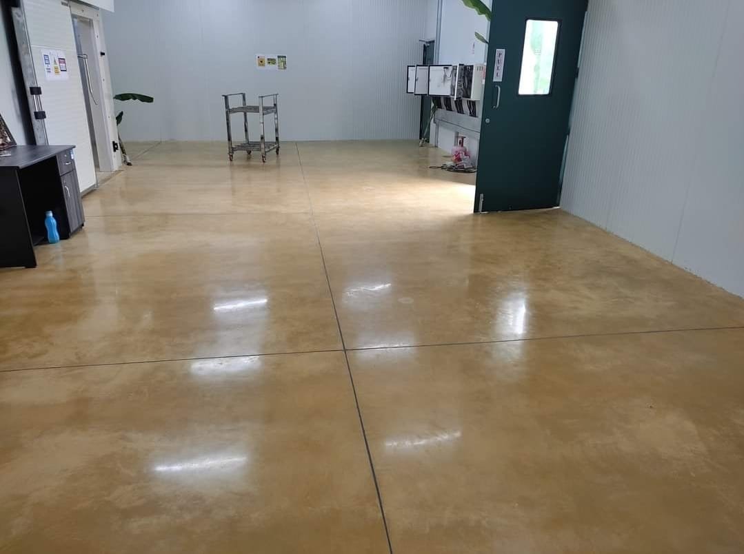 colour polished concrete floor