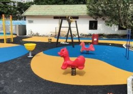 epdm (10)
